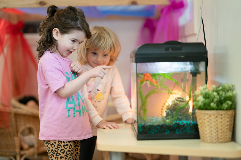 The Best Pets For Children Edge Early Learning the-best-pets-for-children-edge-early-learning