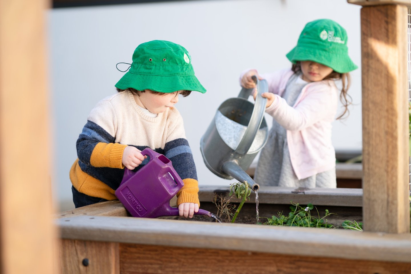 Sustainability at Edge Early Learning