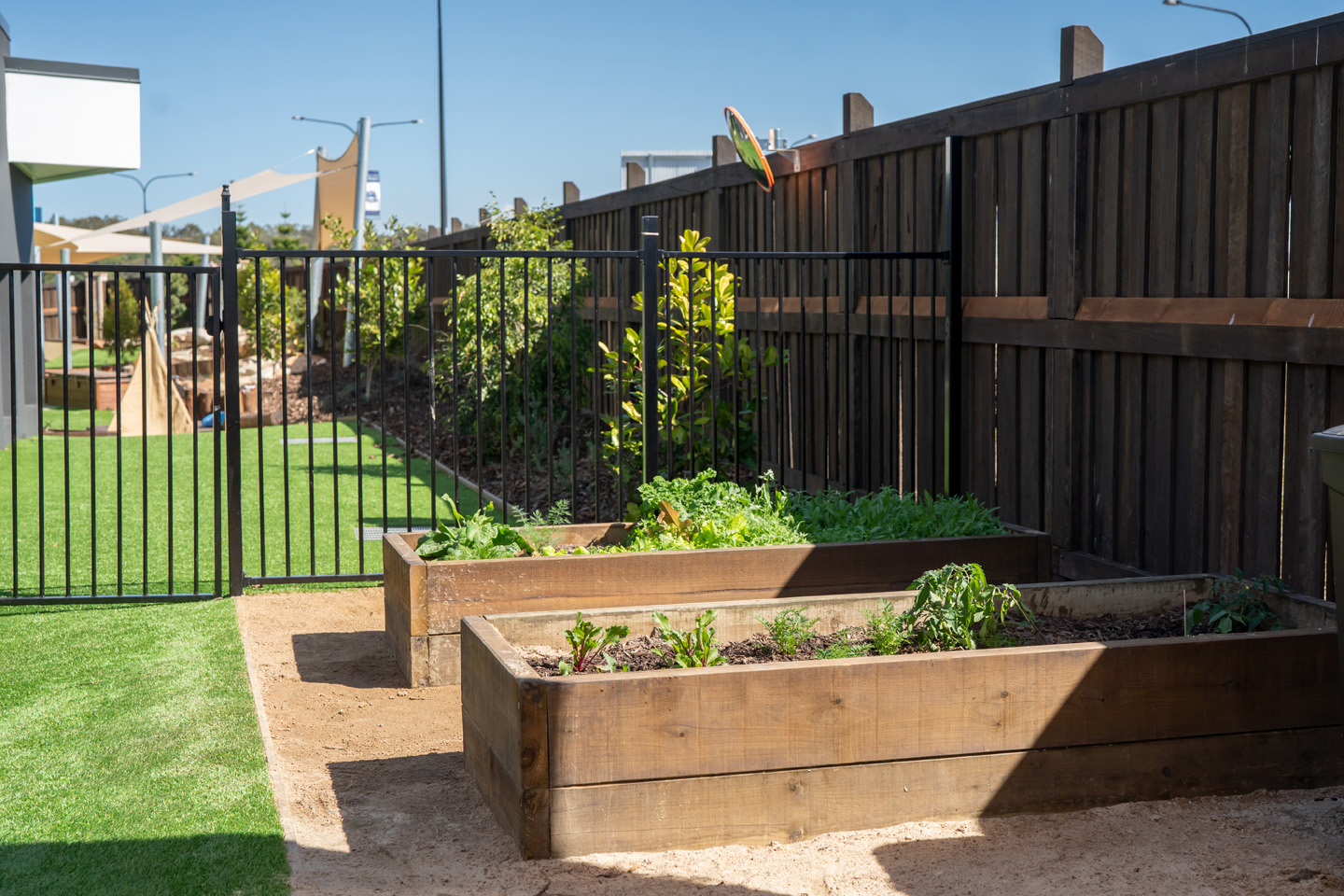 Sustainable garden at North Harbour