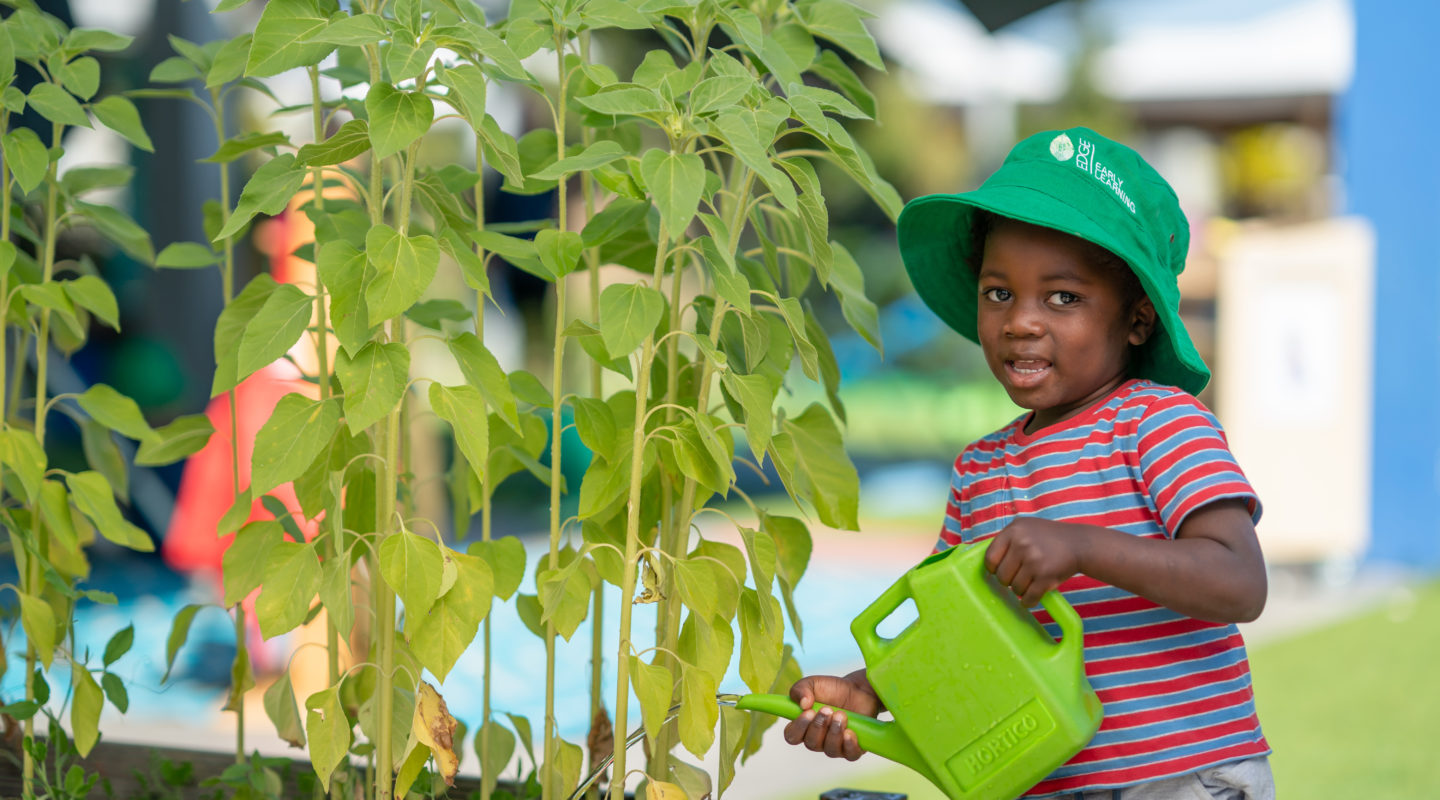 Sustainability at Edge Early Learning
