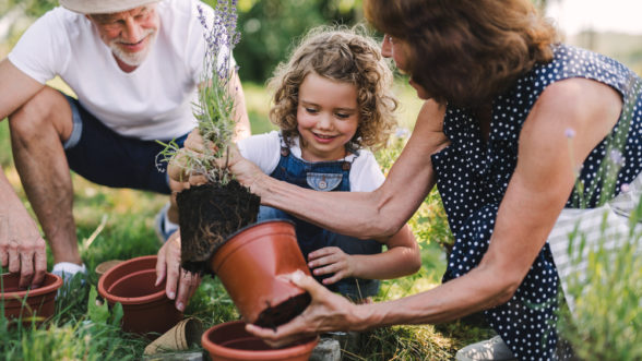 Girl gardening with grandparents