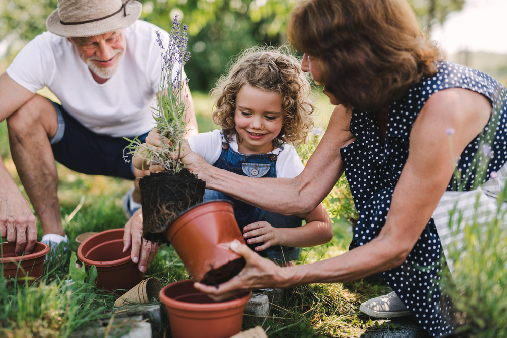 Girl gardening with grandparents