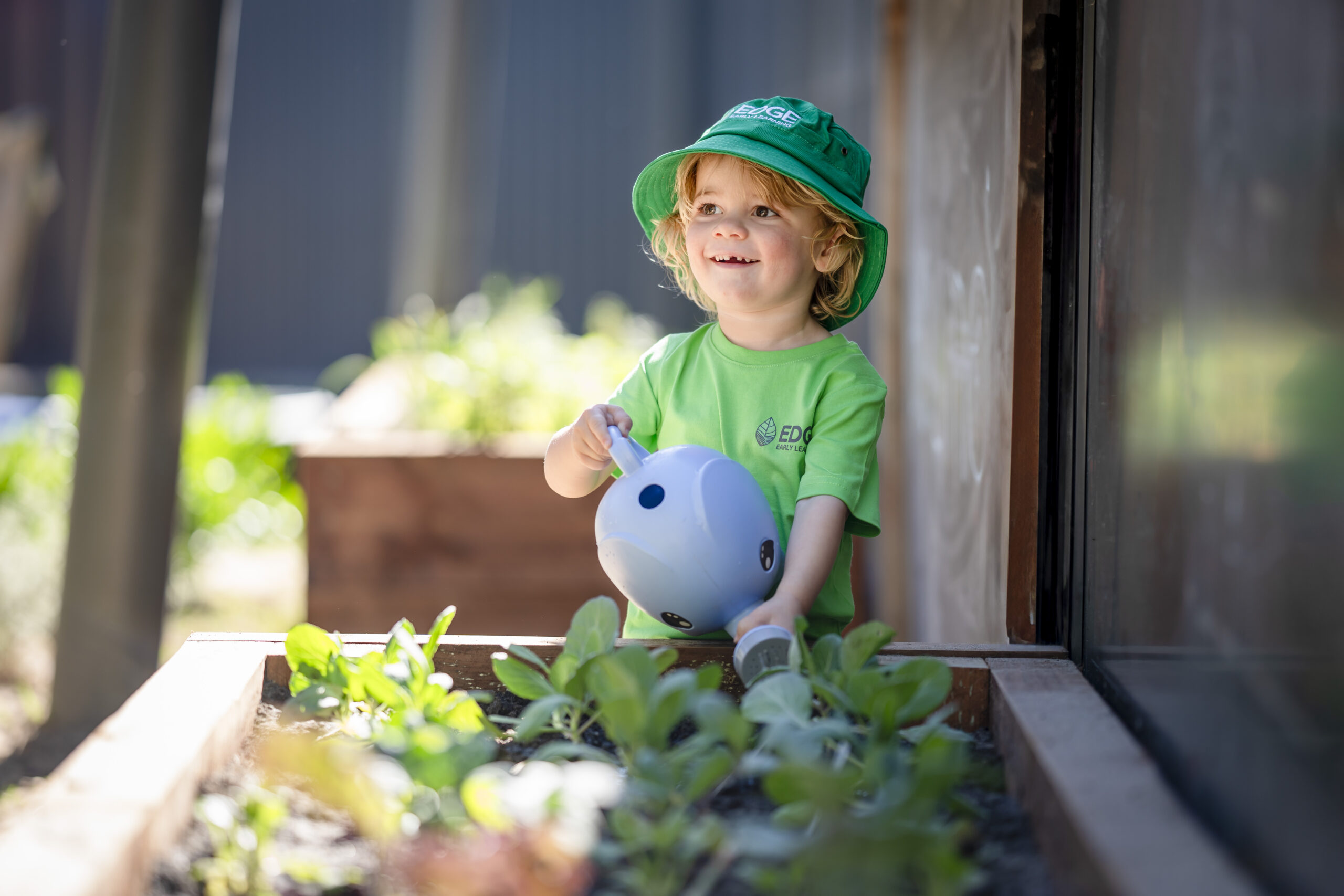 Child watering vegetable garden at Strathalbyn preschool.
