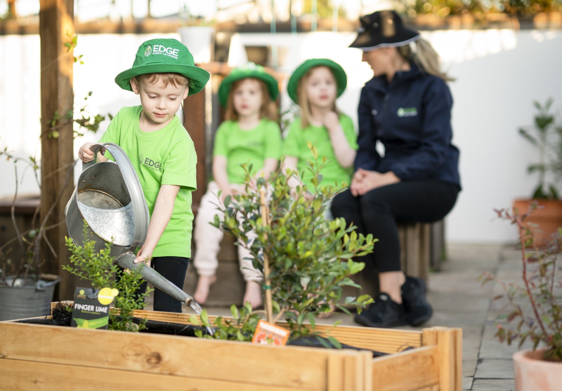 The easiest veggies for children to grow that you can plant right now
