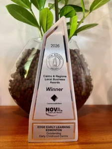 Trophy with the Local Business Awards logo and text that reads: "Cairns & regions Local Business Awards Winner".